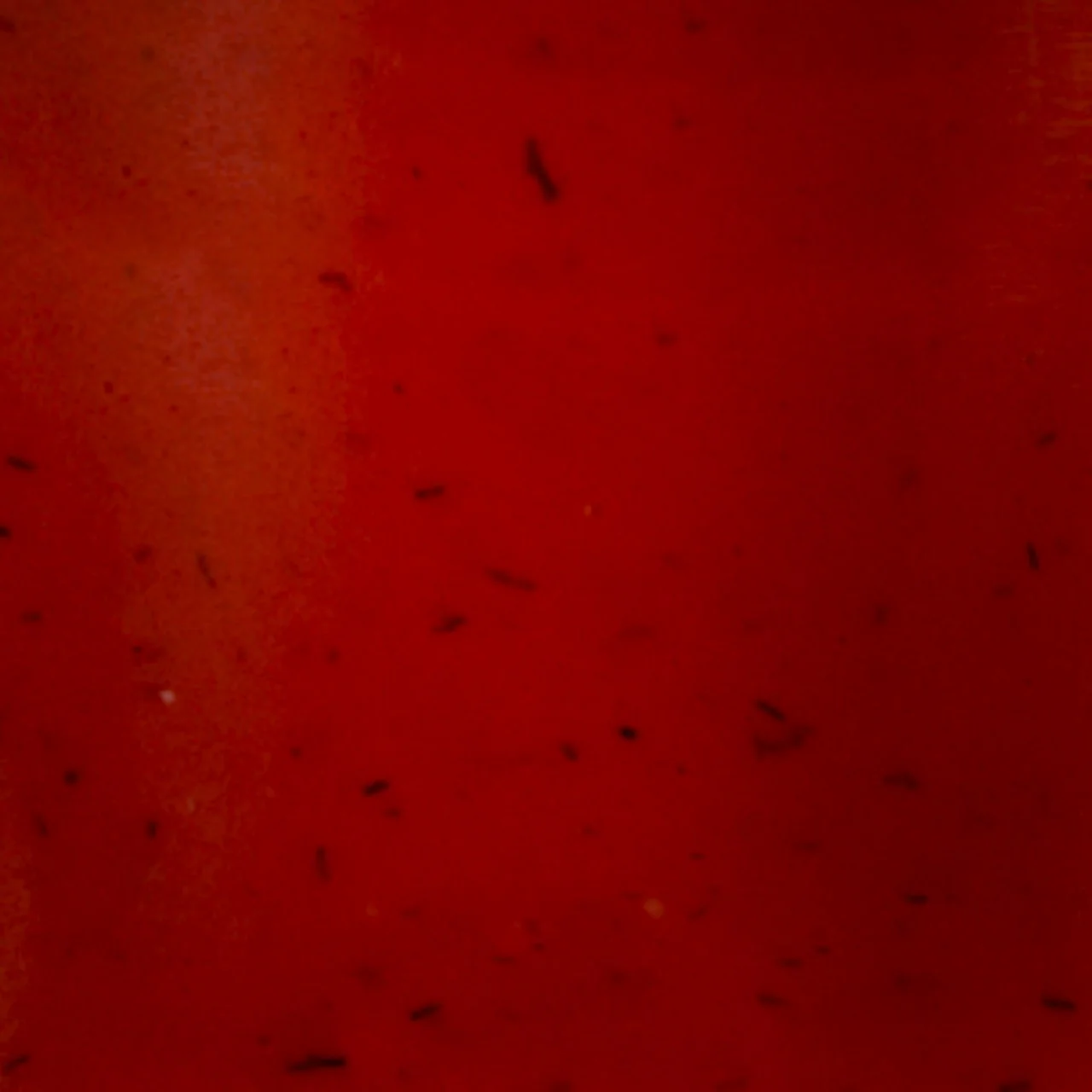 Frank's RedHot® Korean BBQ Squeeze Sauce, 1.7 fl oz - Image 14