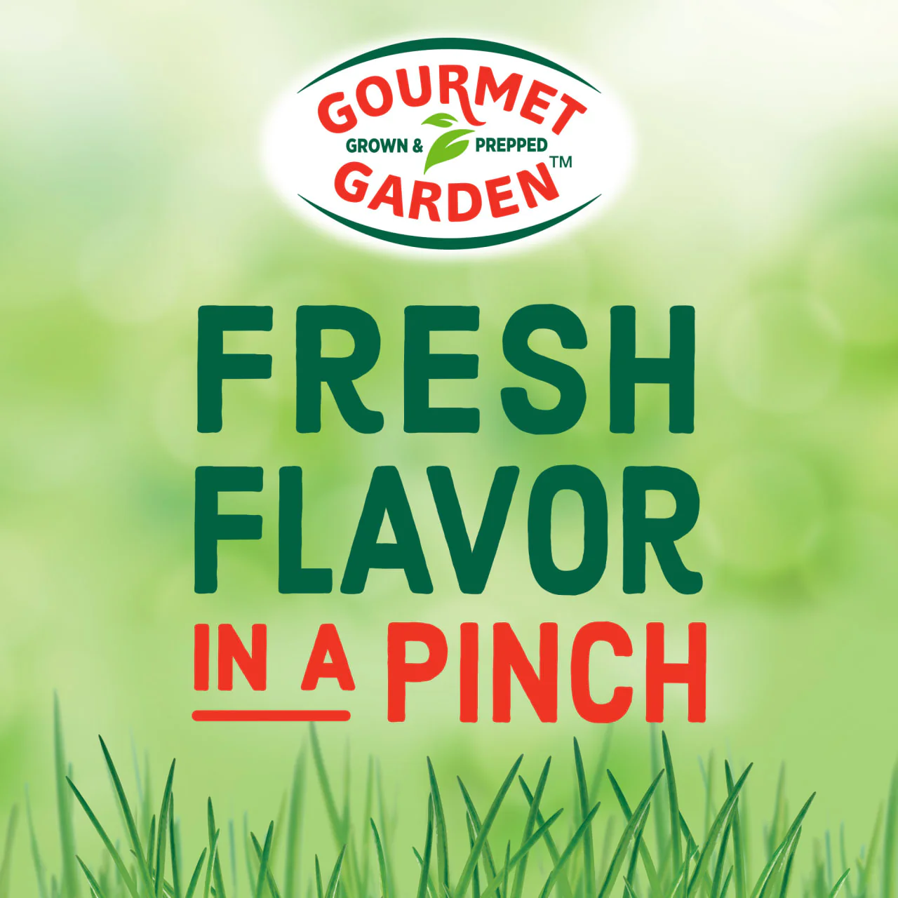 Gourmet Garden™ Ginger Stir-In Paste, 4 oz - Image 8