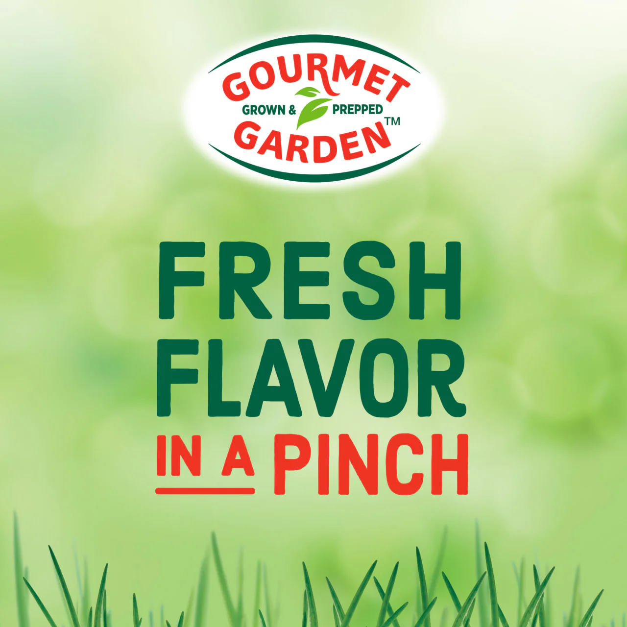 Gourmet Garden™ Green Onion Paste, 4 oz - Image 8