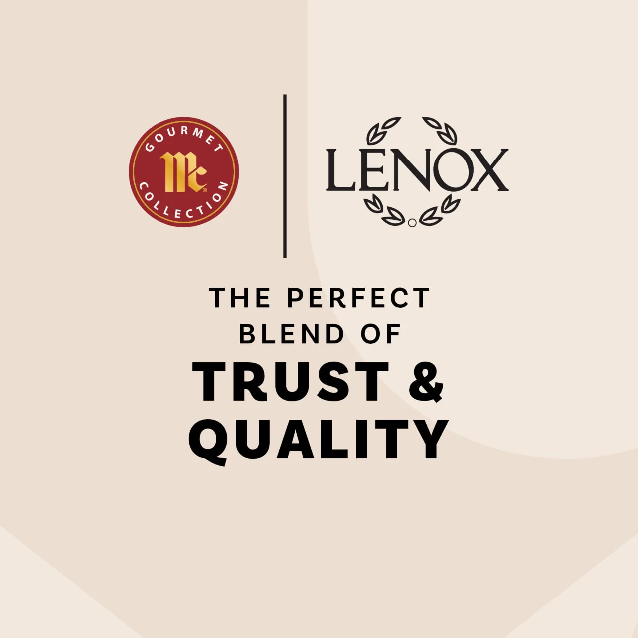 The McCormick Gourmet™ Collection & Lenox Spice Village Set of 3 - Image 8